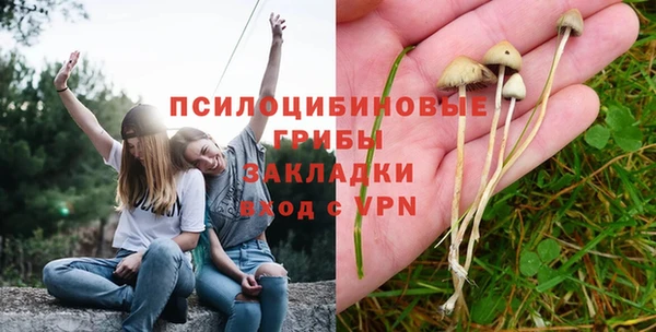 амф Михайловск