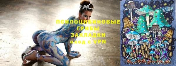 mdpv Михайлов