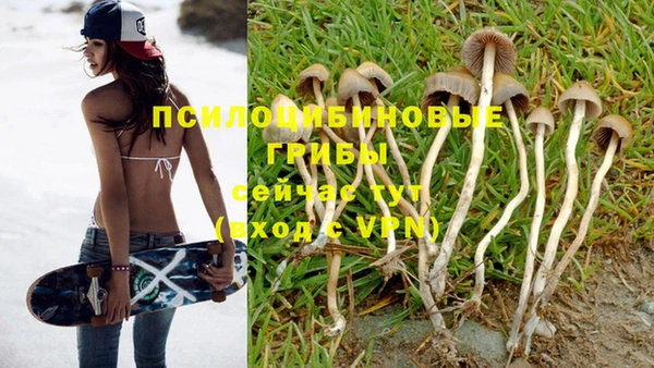 амф Михайловск