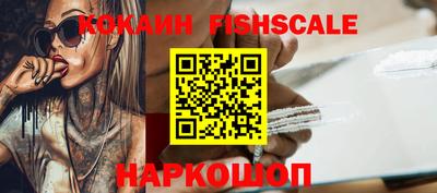 твердый Гатчина