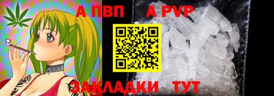 твердый Гатчина