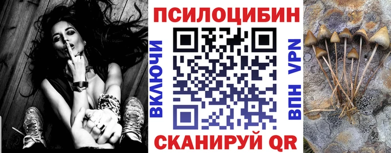 блэк спрут маркетплейс  магазин  наркотиков  Кострома  Псилоцибиновые грибы MAGIC MUSHROOMS 