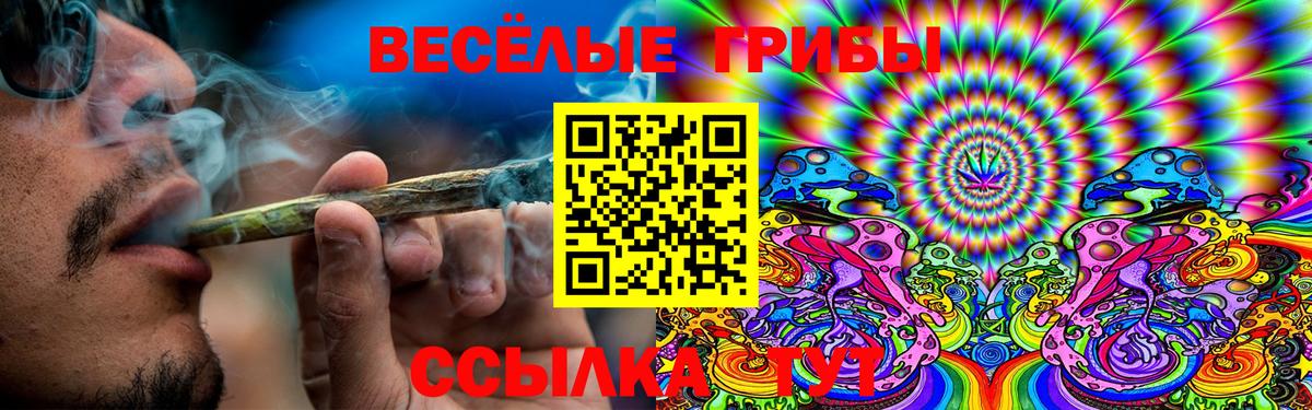 Галлюциногенные грибы Cubensis Кострома