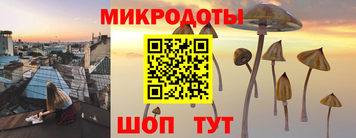 Кострома  Галлюциногенные грибы прущие грибы  Вход с VPN 
