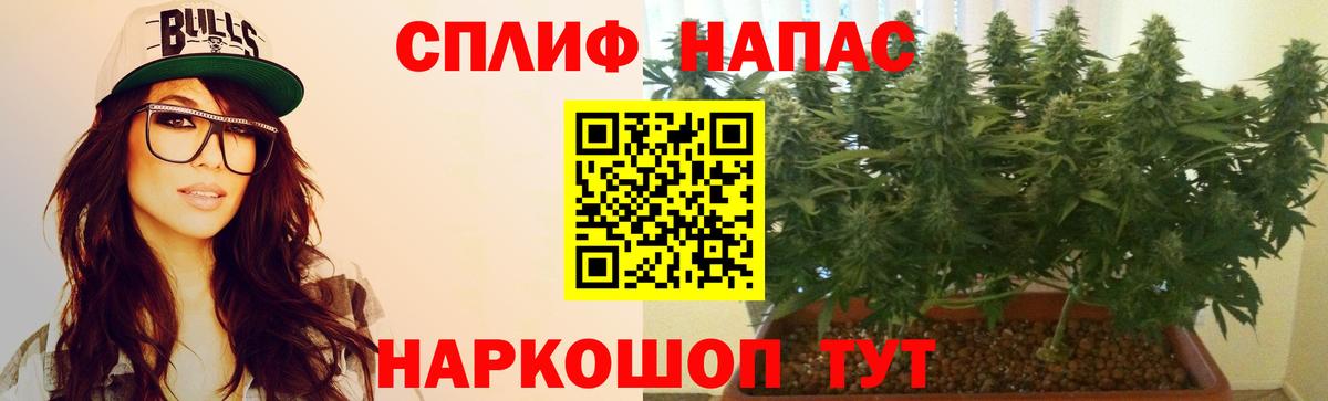 Канабис семена  Каннабис Bruce Banner  Кострома  Канабис семена 